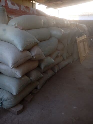 мебель стол стуля: Кукуруза Оптом — 5