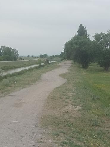 гараж металический: Участок земли(багарная пашня)у водоёма — природная локация для отдыха — 2