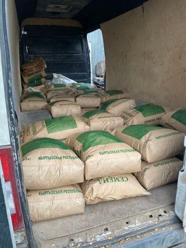 семена огурцов для теплицы в бишкеке: Беде урук оптом 7 Обласка салып жоробуз ишенимду таза кепилдик бар — 10