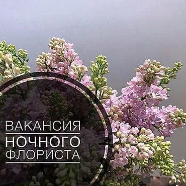 Вакансия: ночной флорист Нужна с опытом! Ищу девочку для ночной — 1