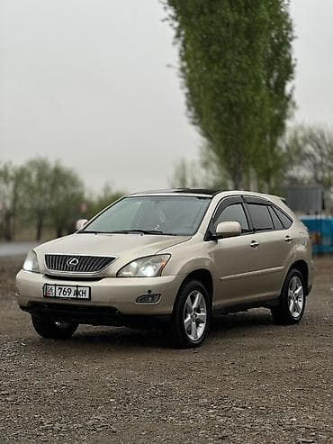 салон машины: Lexus RX: 2004 г. — 7