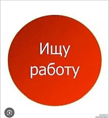 Ищу подработку, временную работу.Оплата почасовая или ежедневное.Опыта