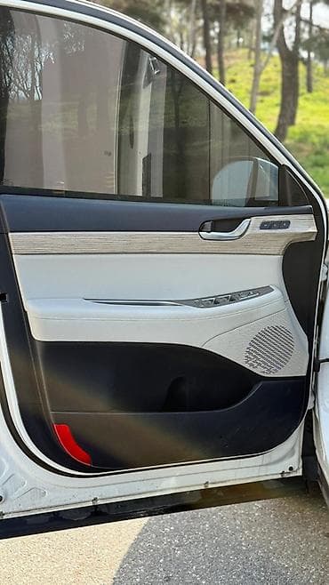range over: Hyundai Palisade: 2019 г., 2.2 л, Дизель, Кроссовер — 9