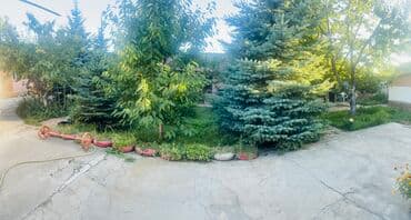 сдаю дом в военно антоновке: Дом, 40 м², 2 комнаты, Собственник, Старый ремонт — 13