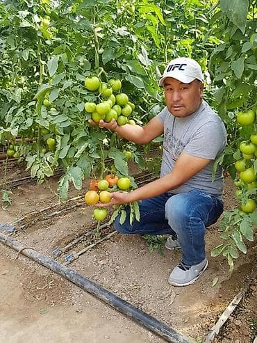 бак на душ: Удобрение Самовывоз — 1