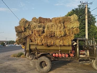 ящики для цыплят: Сено в тюках 1й кос 

- Тюковое сено из луговых трав, спрессованное — 2