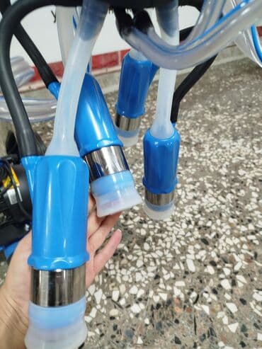 рюкзак для кошки: 💙Представляем Milky ML1122!!!доильный аппарат, который будто создан не — 7