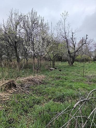 коттеджи южный берег: Дом с участком. с. Бир- Булак (Воронцовка). Красная книга — 3