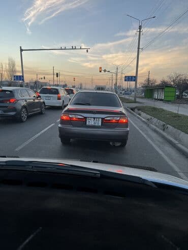 зимние шины размер 16: СПОЙЛЕР универсальный подсветка есть бегущий красный подходит для — 6