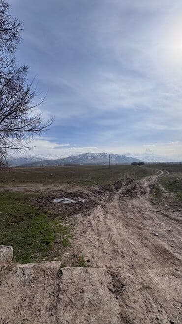 ишу земельный дом кок жар: 385 соток, Для сельского хозяйства, Договор дарения — 8