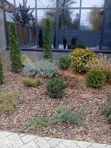 укладка асфальт: Услуги ландшафтного озеленения - Устройство газона «под ключ» — 6