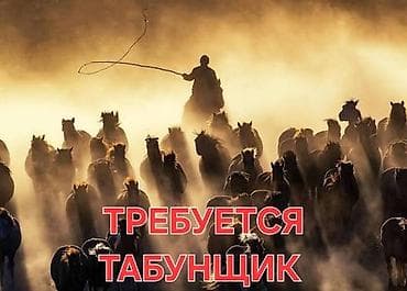 Административный персонал: Вакансия: табунщик / пастух (жылкычы) Описание работы: - Пастьба и — 1