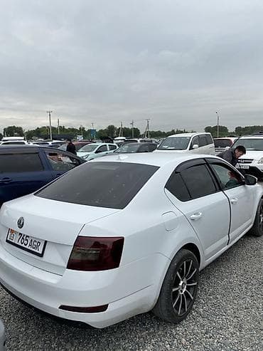 а4 б5: Skoda Octavia: 2016 г., 1.6 л, Автомат, Бензин, Лифтбек — 4