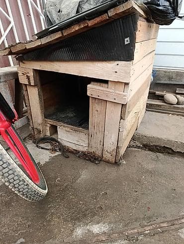 саан уй алабыз: Будку отдам бесплатно 70см-70см — 1