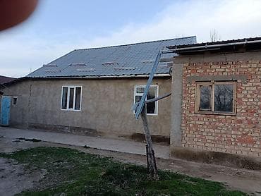 сдаю 1 комнату с подселением: 43 соток, Для сельского хозяйства — 3