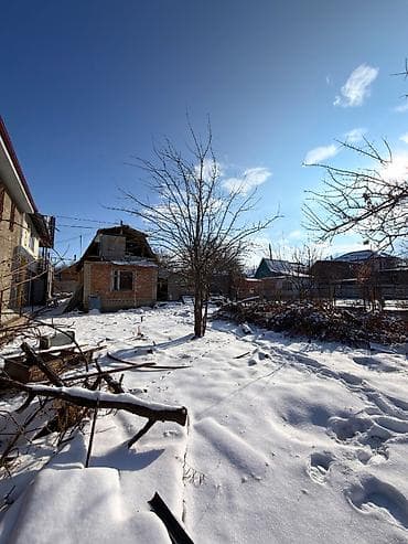 нижний ала арча: 5 соток, Для бизнеса, Красная книга — 5