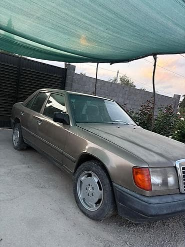 w124 дерево: Mercedes-Benz W124: 1990 г., Седан — 1