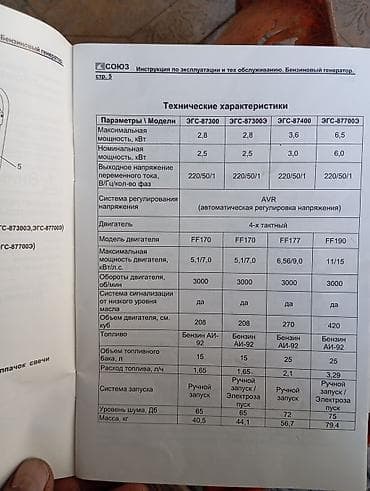 Бензиновый генератор СОЮЗ ЭГС-873003 - Тип: однофазный бензогенератор