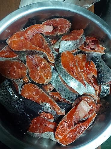 Башка жаныбарлар: Форель свежая Есть свежая есть потрошенная Писать в вастсап НЕ — 2