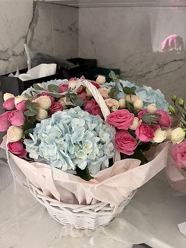 комнатные цветы купить бишкек: Продаю цветы свежие — 2