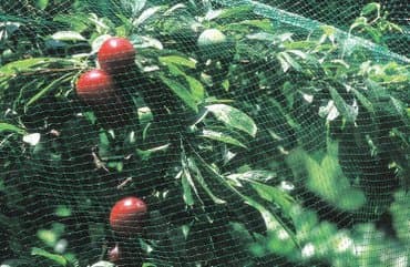 затеняющая сетка для огорода цена: Үй жана бакча үчүн декор — 5