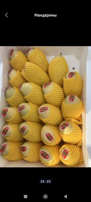 семена тюльпана: Мандарины Оптом — 4