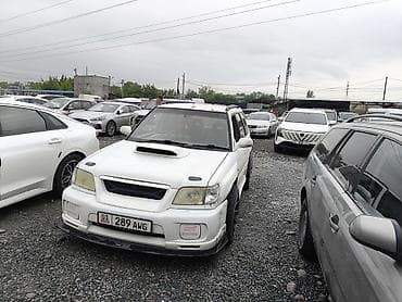 я ищу форестер: Subaru Forester: 2001 г., 2 л, Ручные, Бензин, Универсал — 2