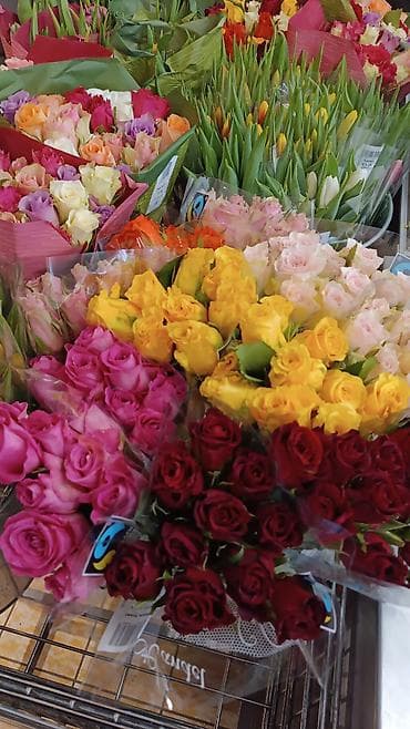 магнолия цветы: Флористические композиции и букеты от «Магнолии». - Праздничная — 9