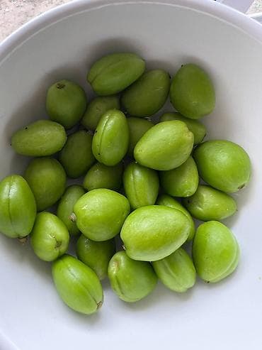 продам яблоко: Горо сатылат кл 500 свежий эн Жогорку сапатдагы горо — 2