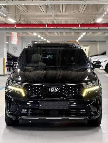 rf 2: Kia Sorento: 2020 г., 1.6 л, Автомат, Гибрид, Кроссовер — 8