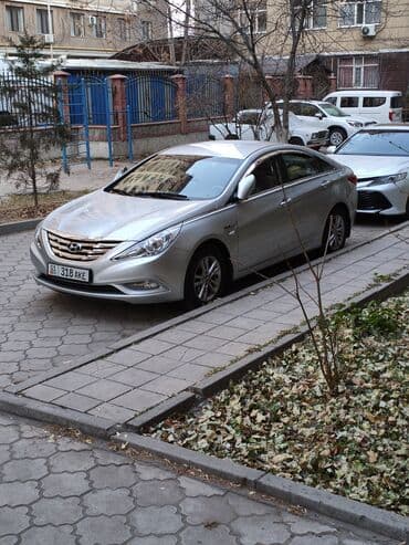Hyundai Sonata: 2011 г., 2 л, Автомат, Газ, Седан