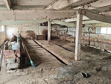 бишкек продаю дом село нижний алаарча: Сдаю действующий фермерский комплекс для КРС. Электричество и вода — 5