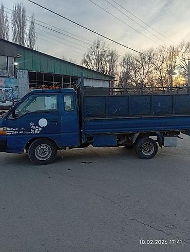 хара: Сатам | Бука (эркек) | Бордоп семиртүү үчүн | Асыл тукумдуу — 6