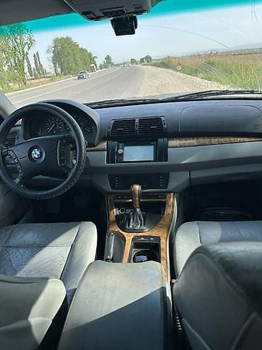 bmw samuray: BMW X5: 2001 г., Кроссовер — 6