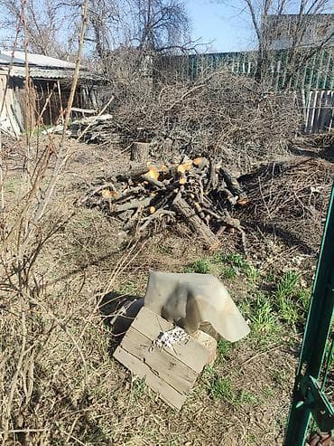 услуги по уборке: Пилю деревья цена индивидуально! Пилю дровабревна 1500 - с/куб — 6