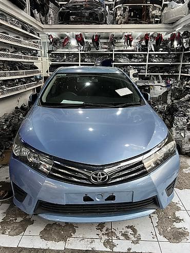 coroll: Toyota Corolla. 2014г. - 2018г. Запчасти (разбор) По кузову — 1