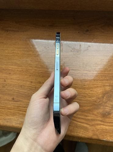 iphone 9: IPhone 12 Pro Max, 256 ГБ — 6