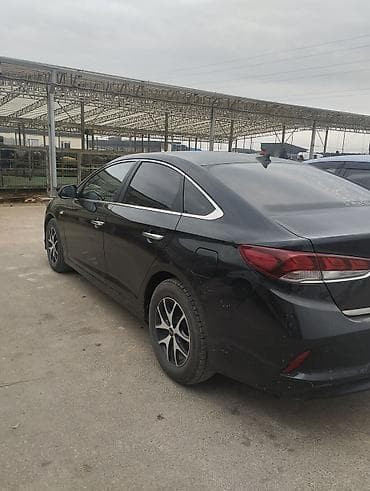 byd plus: Hyundai Sonata: 2019 г., 2 л, Автомат, Газ, Седан — 3