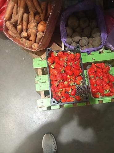 Клубника Оптом