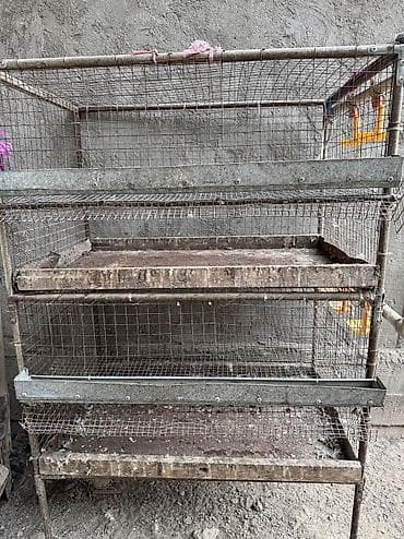 Продаю клетку для перепел at lalafo.kg Продаю клетку для перепел