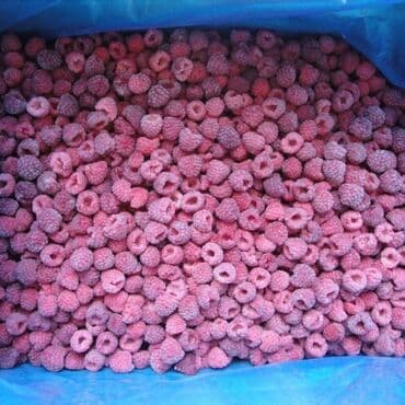 установка газового оборудования бишкек: Услуга шоковой морозильной камеры, заморозить и хранить, заморозка и — 7