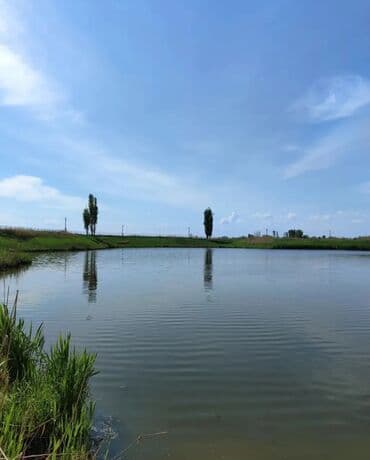 обмен кв на дом: 600 соток, Для бизнеса, Красная книга — 34