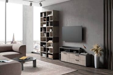 офисные мебели: Тумба под ТВ 1Д 2Я Эдинбург, Дуб Крафт Серый/Железный Камень, Майя — 2