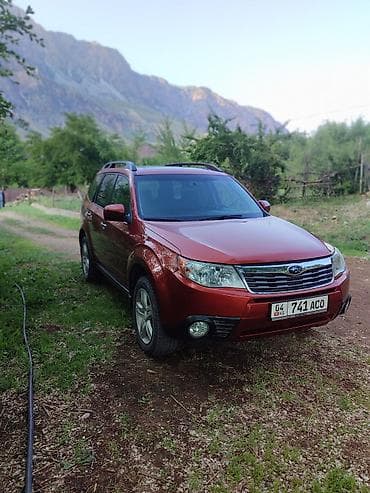 Продажа авто: Subaru Forester: 2009 г., Автомат, Бензин, Кроссовер — 2