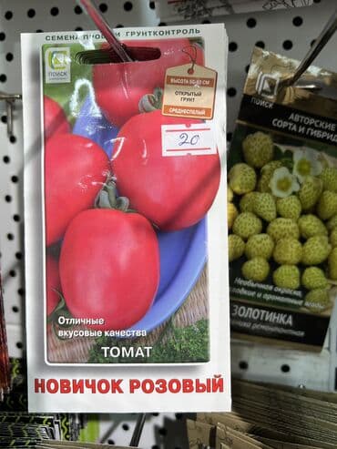 продаю овощи: Уруктар жашылчалардын: Капуста, Сабиз, Калемпирлер, Өзү алып кетүү, Акылуу жеткирүү — 7