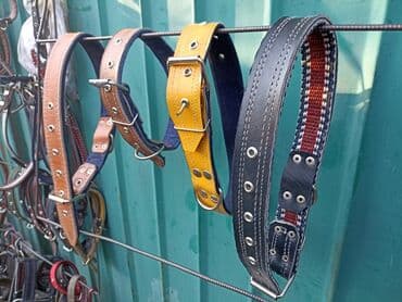 сколько стоит ошейник для собак: Ошейники на щенков, средних и крупных собак. Кожа двойная усиленная — 9