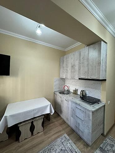 Батирлер: Студия, 20 м², Жеке план, Жертөлө кабаты кабат, Евро оңдоо — 5