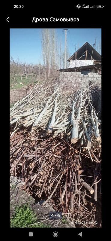 Дрова Самовывоз