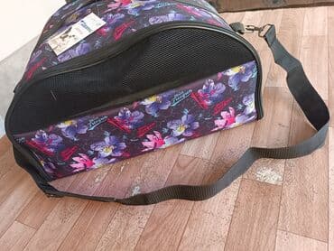 Кошки: 900 сом хорошем качестве — 4