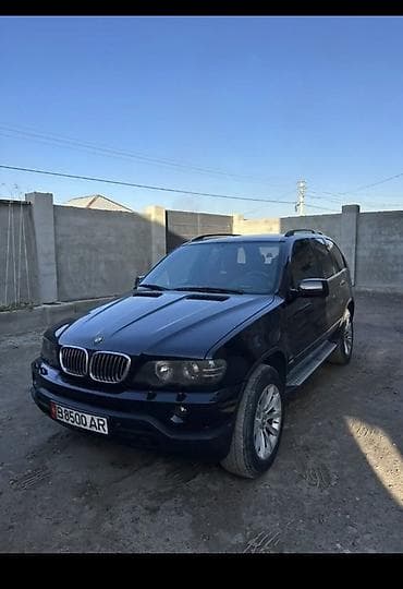 BMW X5: 2004 г., 3.3 л, Типтроник, Бензин, Внедорожник